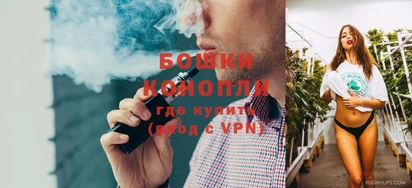 спайс Алексин