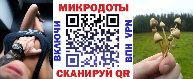 Псилоцибиновые грибы мицелий  blacksprut сайт  Чебаркуль 